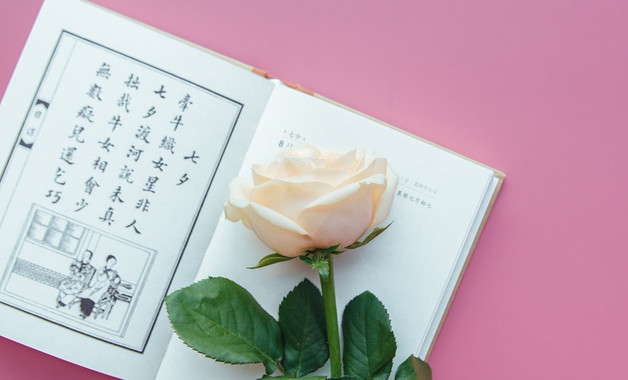 最新人民檢察院畢業(yè)實(shí)習(xí)報(bào)告（五篇）