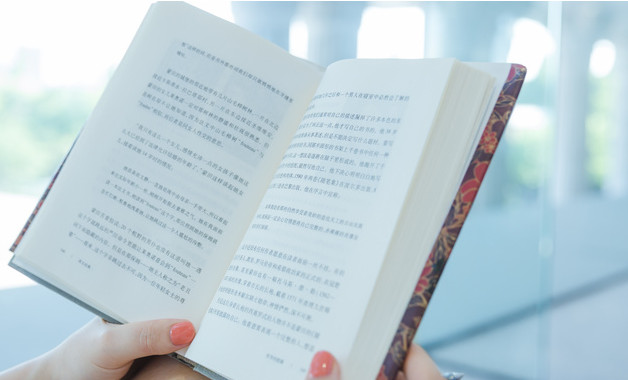 美麗鄉(xiāng)村項目方案