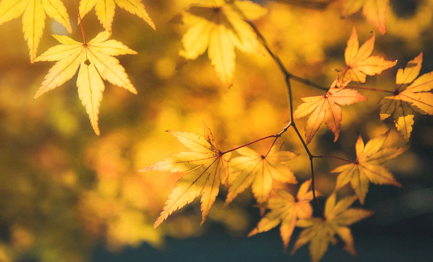噴煤車間職業(yè)衛(wèi)生檢查獎懲制度匯編（5篇范文）